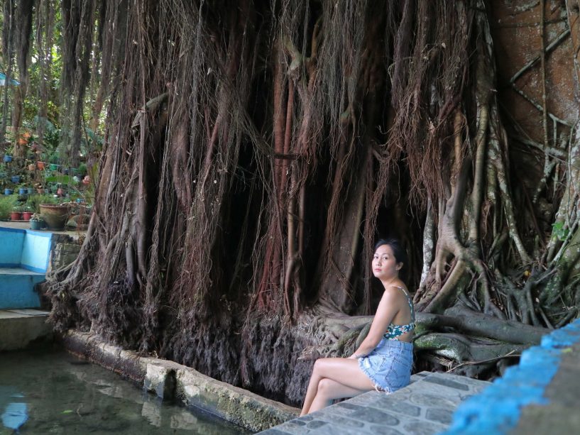siquijor-balete-tree-marjorie-gavan